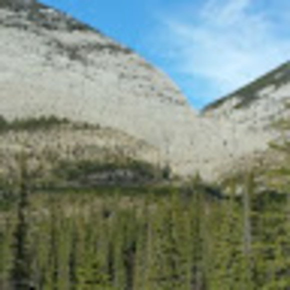 Meet your Posher, Dakota - Picture 1 of 1